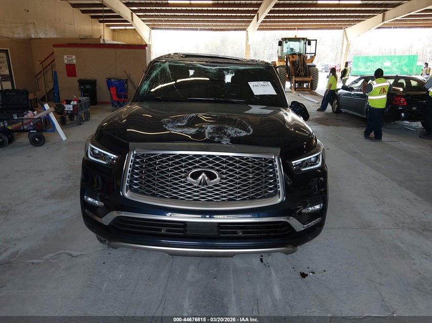 2019 Infiniti Qx80 Limited/Luxe VIN: JN8AZ2NE8K9230849 Lot: 44676815