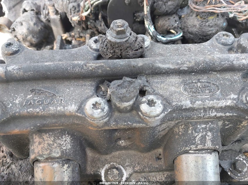 2019 Land Rover Range Rover Velar P250 VIN: SALYA2EX9KA790809 Lot: 44677829