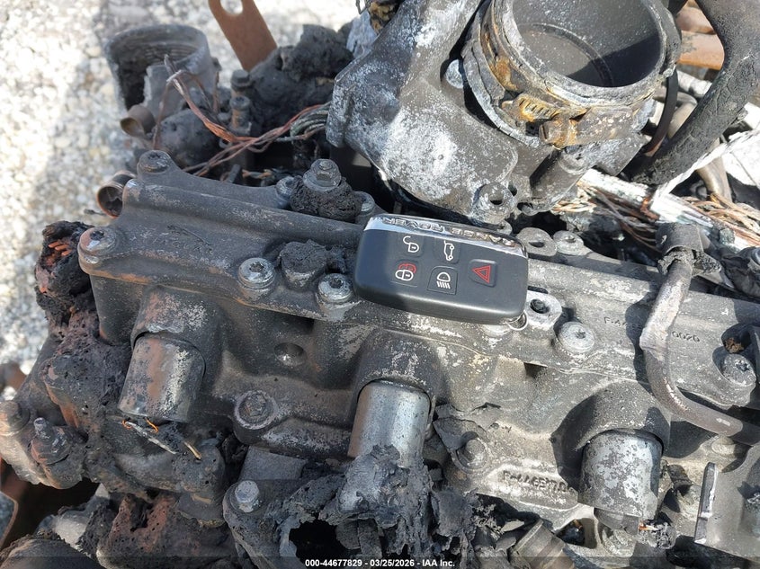 2019 Land Rover Range Rover Velar P250 VIN: SALYA2EX9KA790809 Lot: 44677829