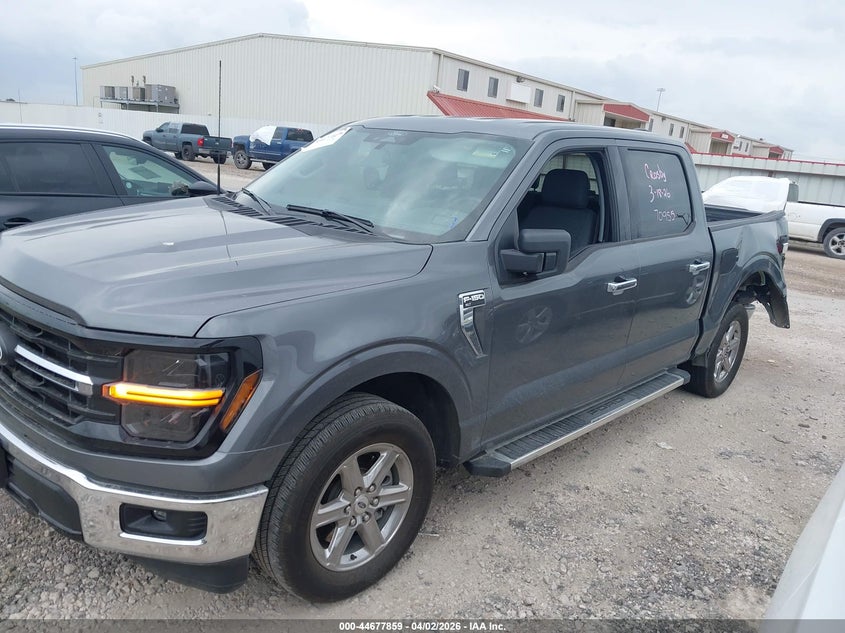 2025 Ford F-150 Xlt