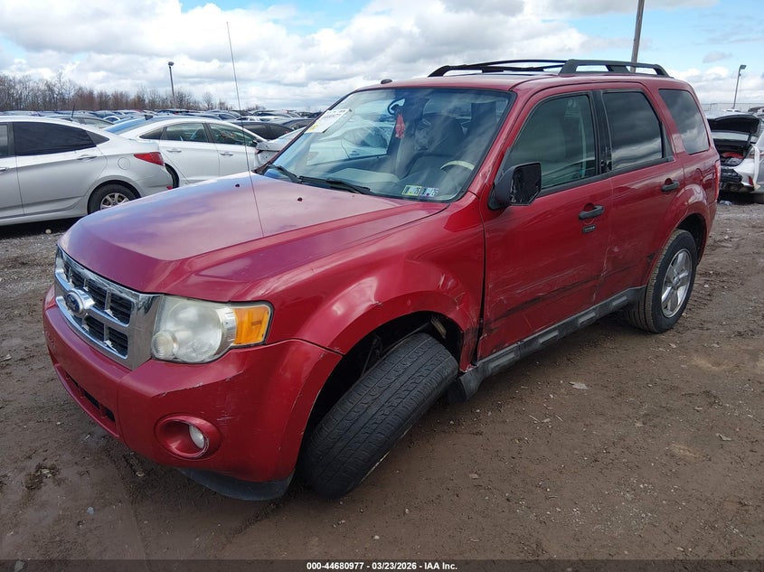 2010 Ford Escape Xlt