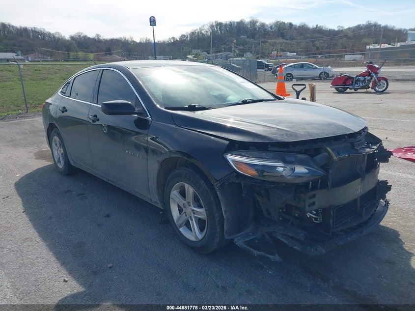 2019 CHEVROLET MALIBU 1FL