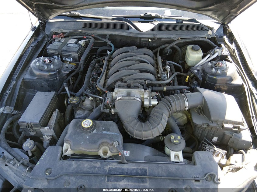 2006 Ford Mustang Gt VIN: 1ZVFT82H865138199 Lot: 44684461