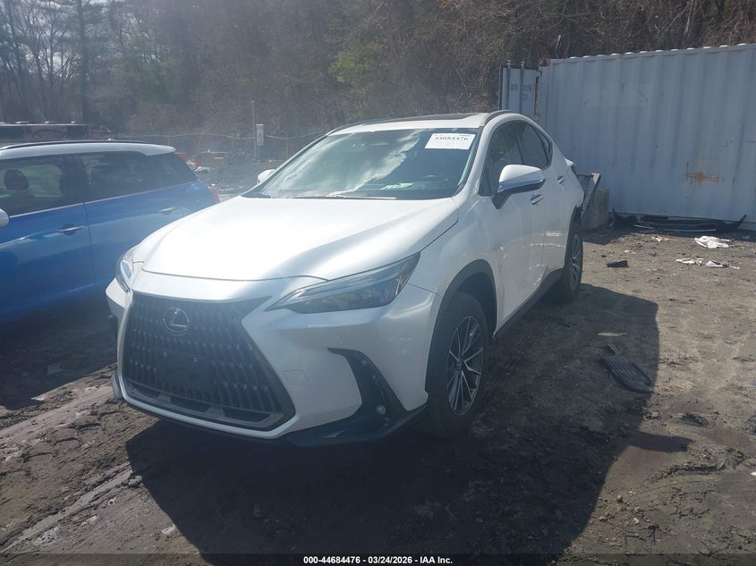 2025 Lexus Nx 350 Premium