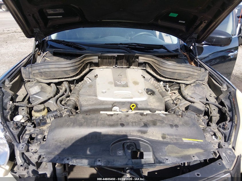 2010 Infiniti Ex35 Journey VIN: JN1AJ0HR9AM756301 Lot: 44685450