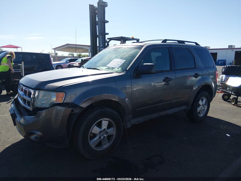 2010 Ford Escape Xlt