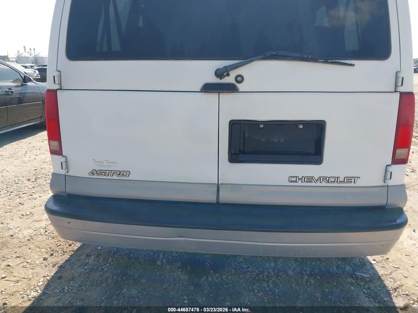 1998 Chevrolet Astro VIN: 1GNDM19W4WB166450 Lot: 44687478