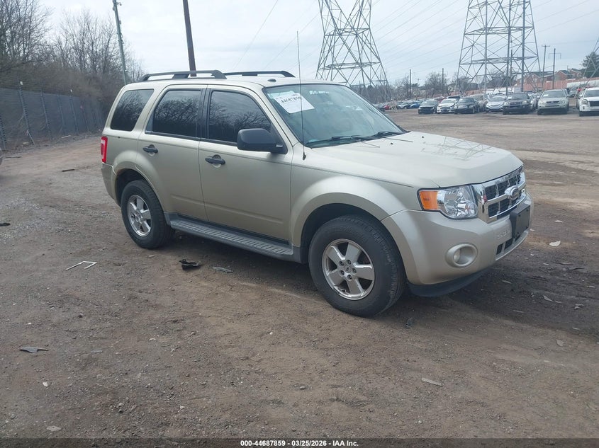 2011 Ford Escape Xlt