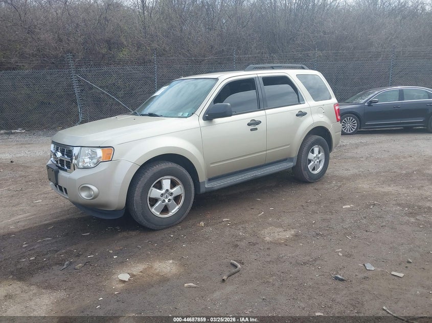 2011 Ford Escape Xlt