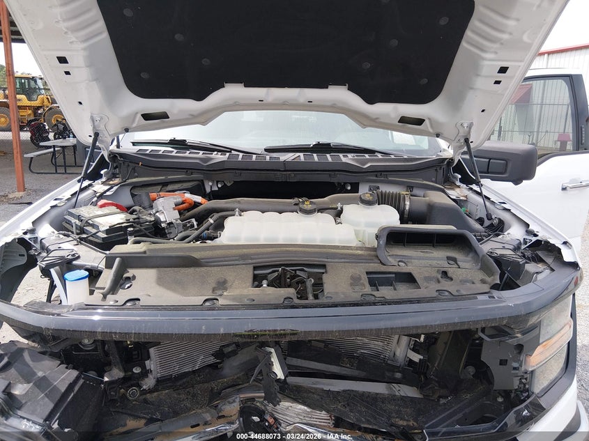 VIN 1FTFW3LD6RFA89561 2024 FORD F-150 XLT
