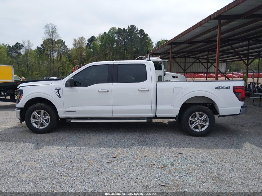 VIN 1FTFW3LD6RFA89561 2024 FORD F-150 XLT