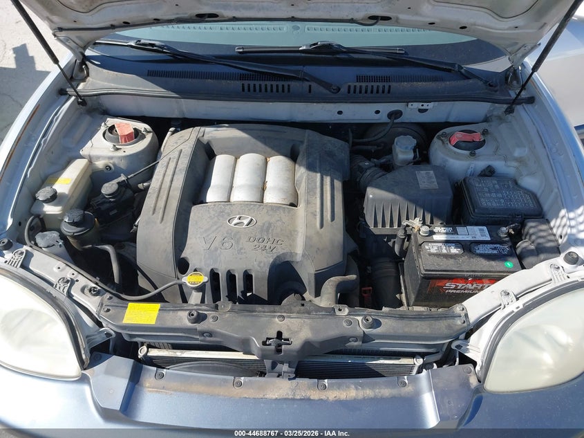 2002 Hyundai Santa Fe Gls/Lx VIN: KM8SC13D52U242066 Lot: 44688767