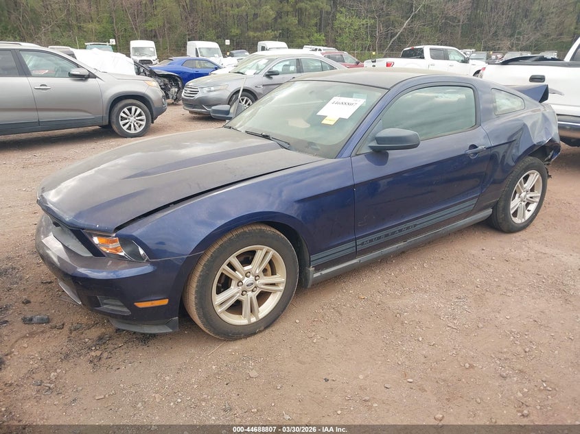 2010 Ford Mustang V6/V6 Premium