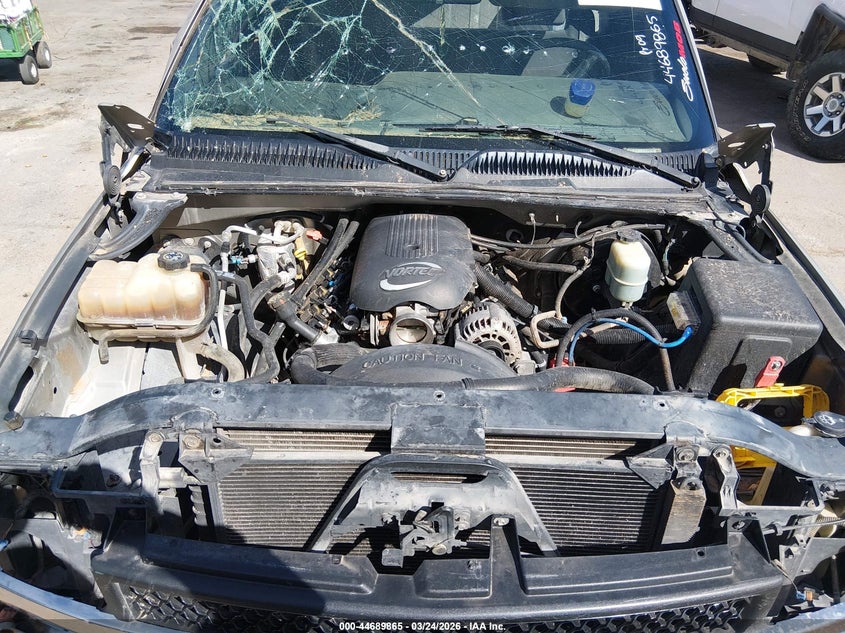 2002 Chevrolet Silverado 1500 Ls VIN: 1GCEC14V02Z222366 Lot: 44689865