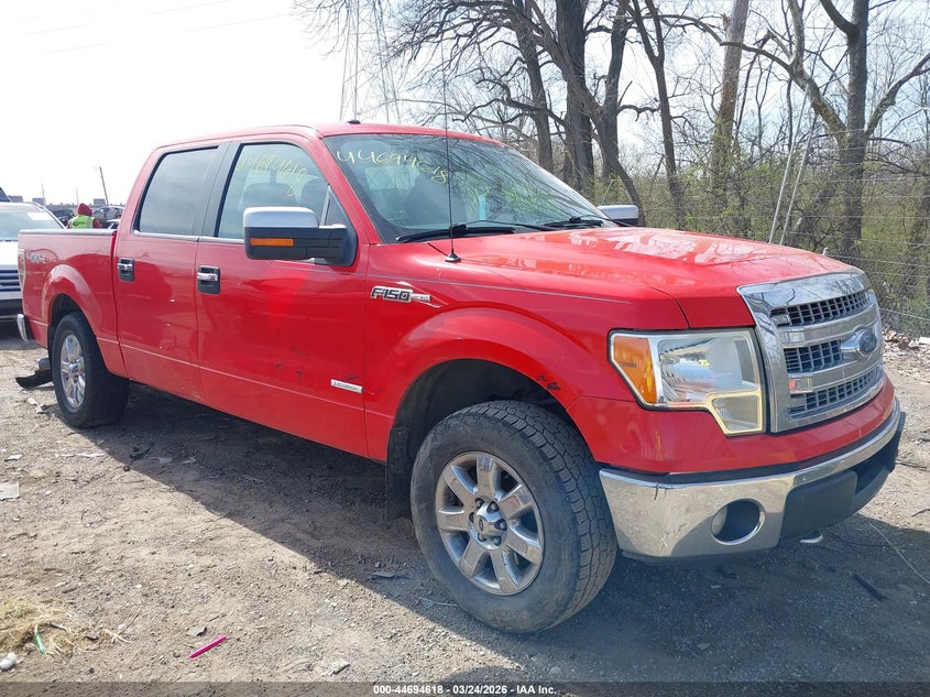 2013 FORD F-150 XLT
