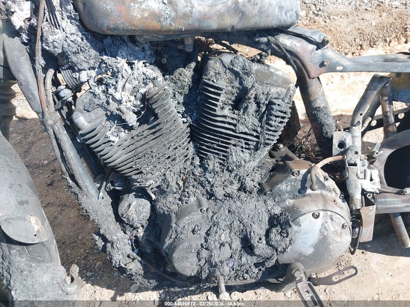 2021 Harley-Davidson Xl883 N VIN: 1HD4LE215MB415061 Lot: 44696972