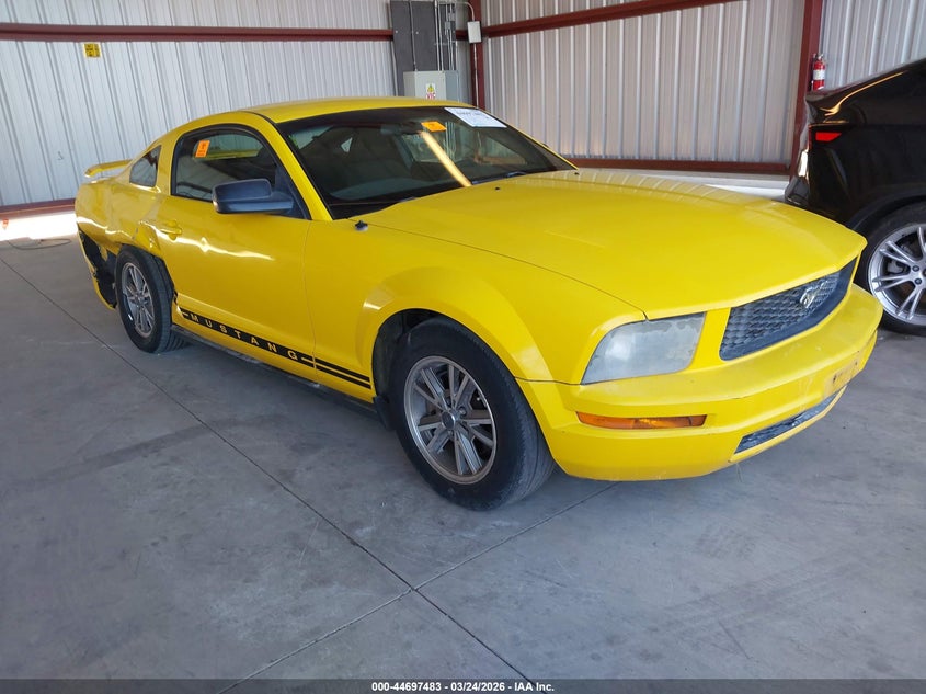 2005 Ford Mustang V6 Deluxe/V6 Premium