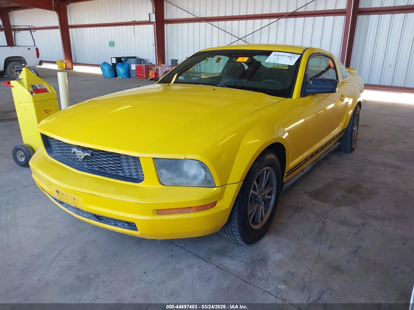2005 Ford Mustang V6 Deluxe/V6 Premium