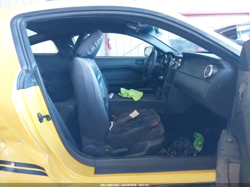 2005 Ford Mustang V6 Deluxe/V6 Premium