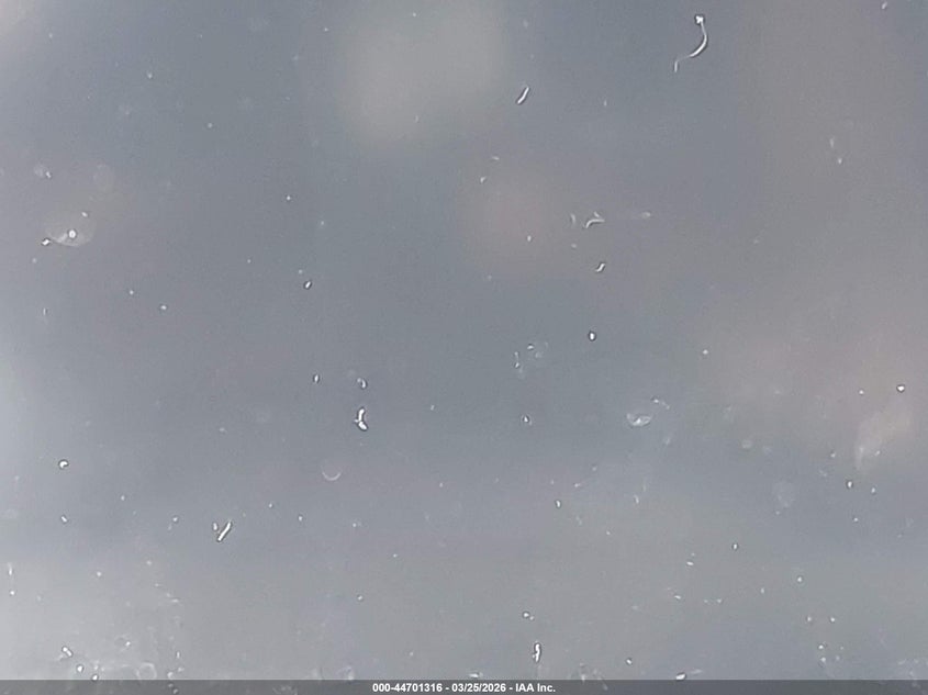 2020 Land Rover Range Rover Evoque S VIN: SALZJ2FX2LH079898 Lot: 44701316