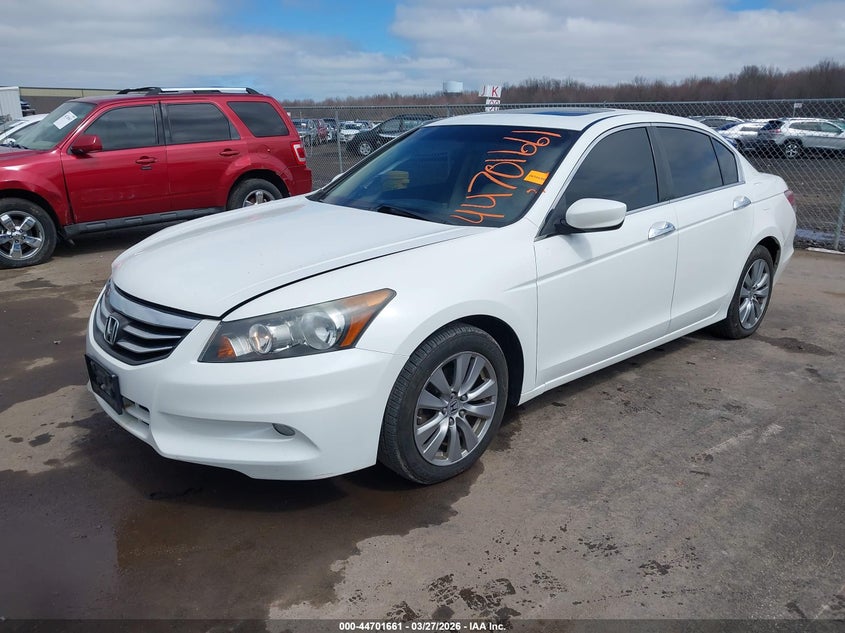 2011 Honda Accord 3.5 Ex-L