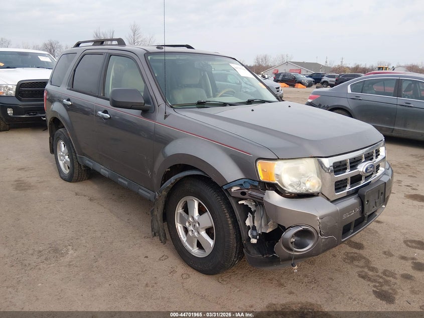 2010 Ford Escape Xlt