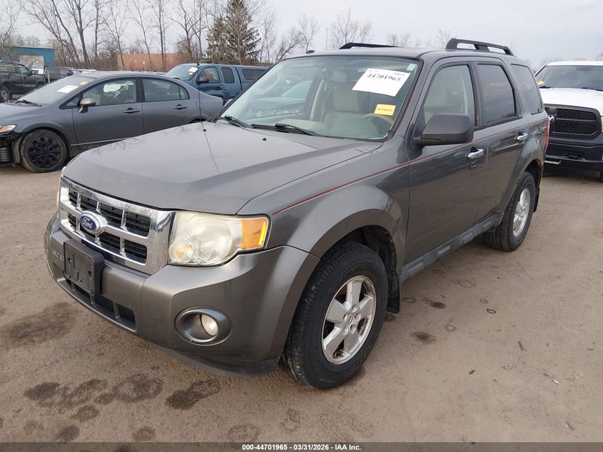2010 Ford Escape Xlt