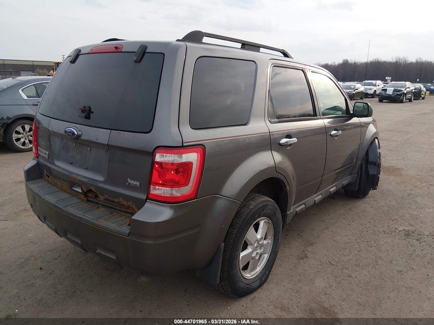 2010 Ford Escape Xlt