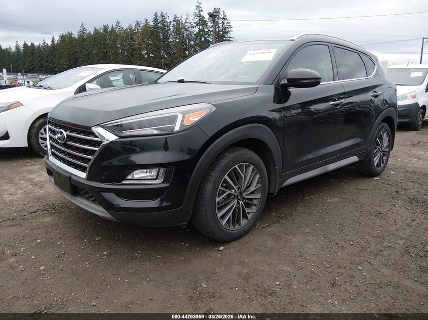 VIN KM8J3CAL2KU972695 2019 HYUNDAI TUCSON LIMITED