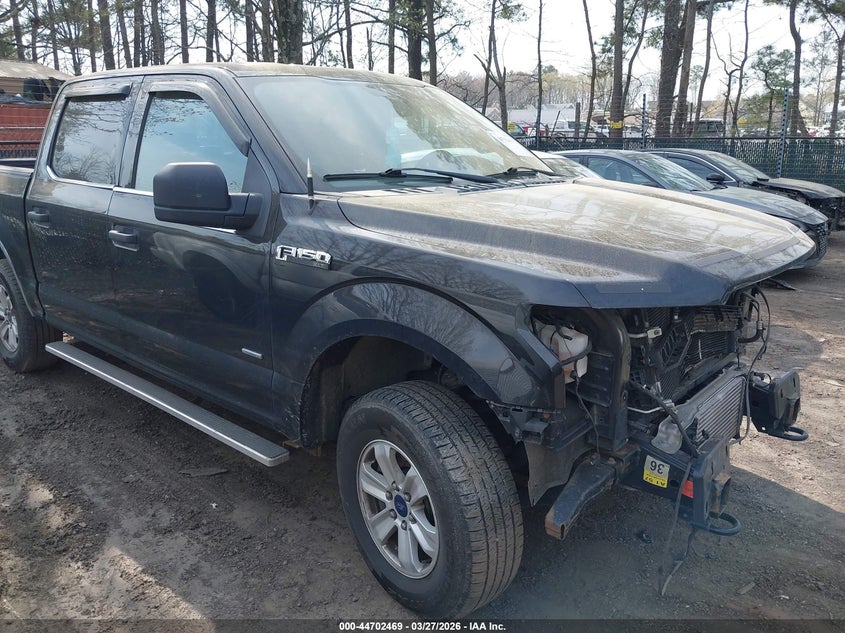 2015 Ford F-150 Lariat/Xl/Xlt