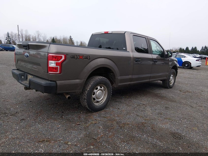 2020 Ford F-150 Xl