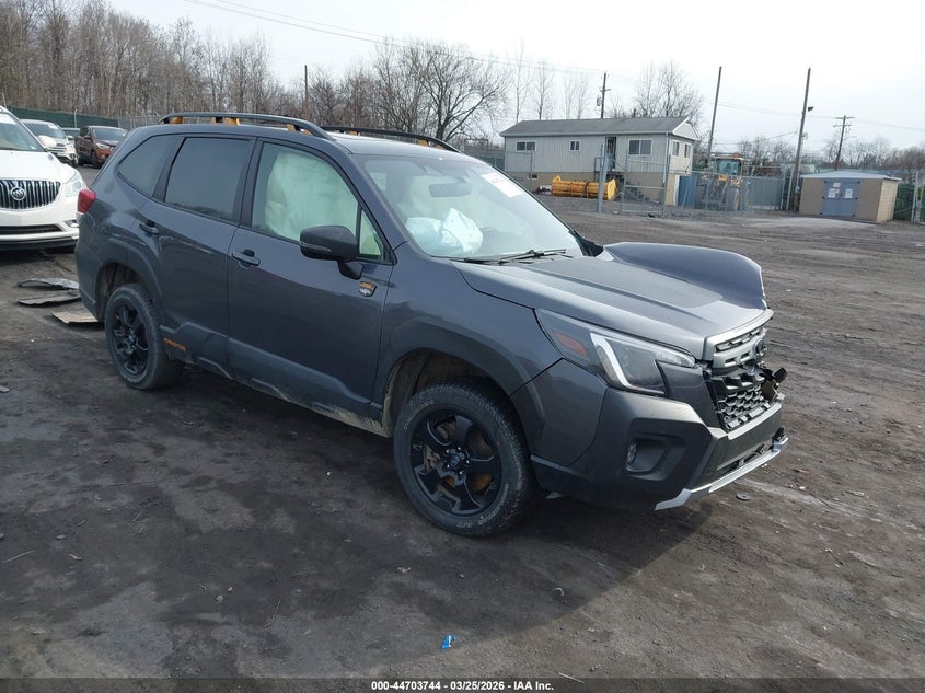 2024 Subaru Forester Wilderness