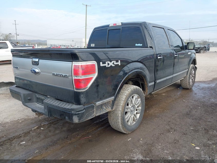 2009 Ford F-150 Fx4/King Ranch/Lariat/Platinum/Xl/Xlt