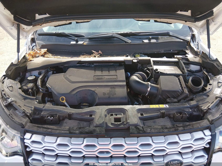 2020 Land Rover Discovery Sport S VIN: SALCJ2FX3LH835552 Lot: 44706200