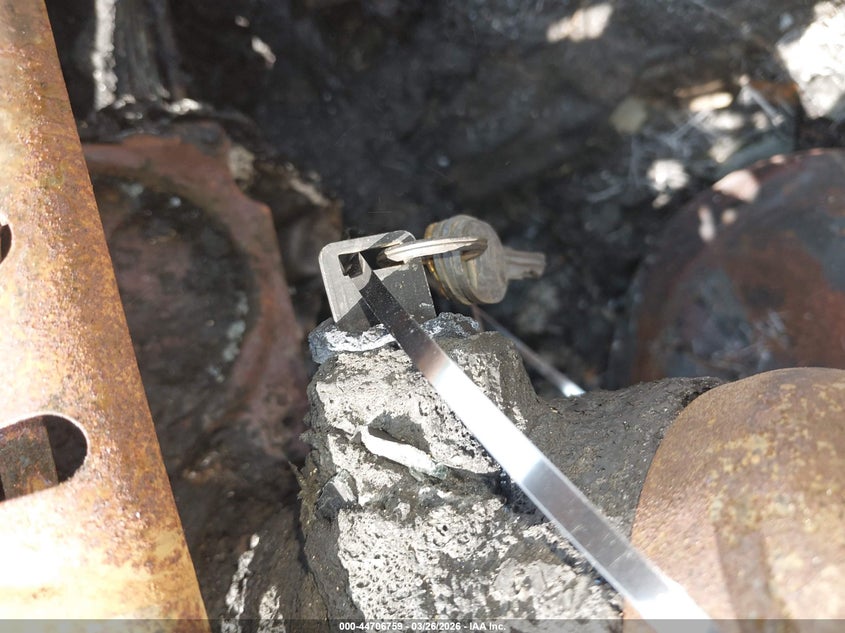 1985 Chevrolet Camaro VIN: 1G1FP87FXFL496942 Lot: 44706759