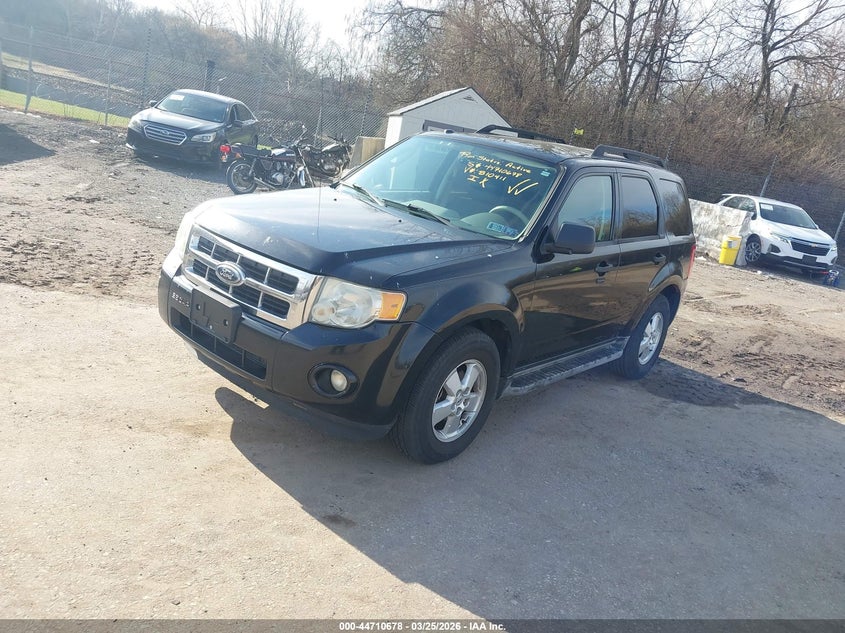 2010 Ford Escape Xlt