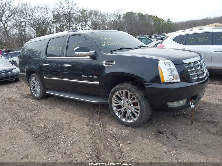 2010 Cadillac Escalade Esv Luxury