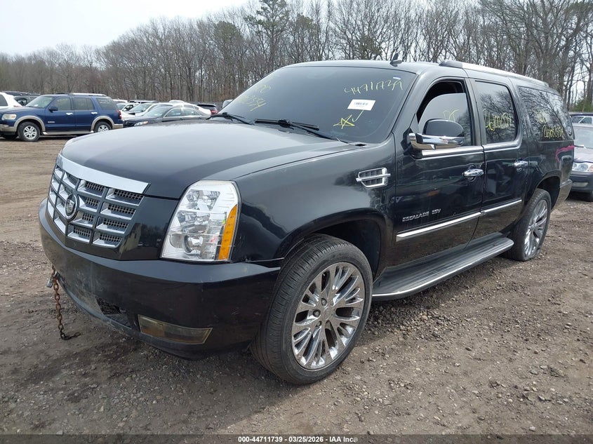 2010 Cadillac Escalade Esv Luxury