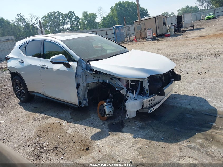 2025 LEXUS NX 250 auction photo 1