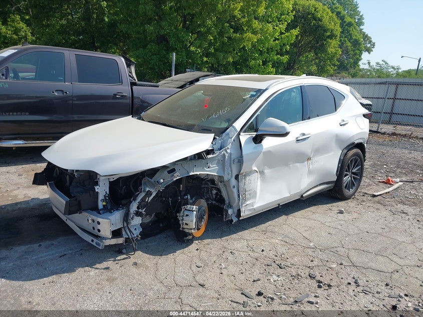 2025 LEXUS NX 250 auction photo 2