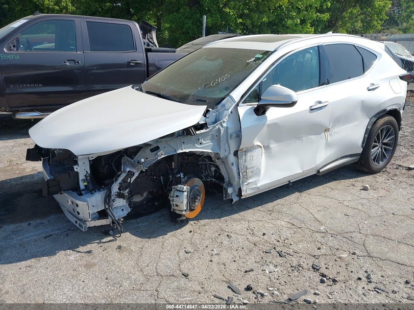 2025 LEXUS NX 250 auction photo 6