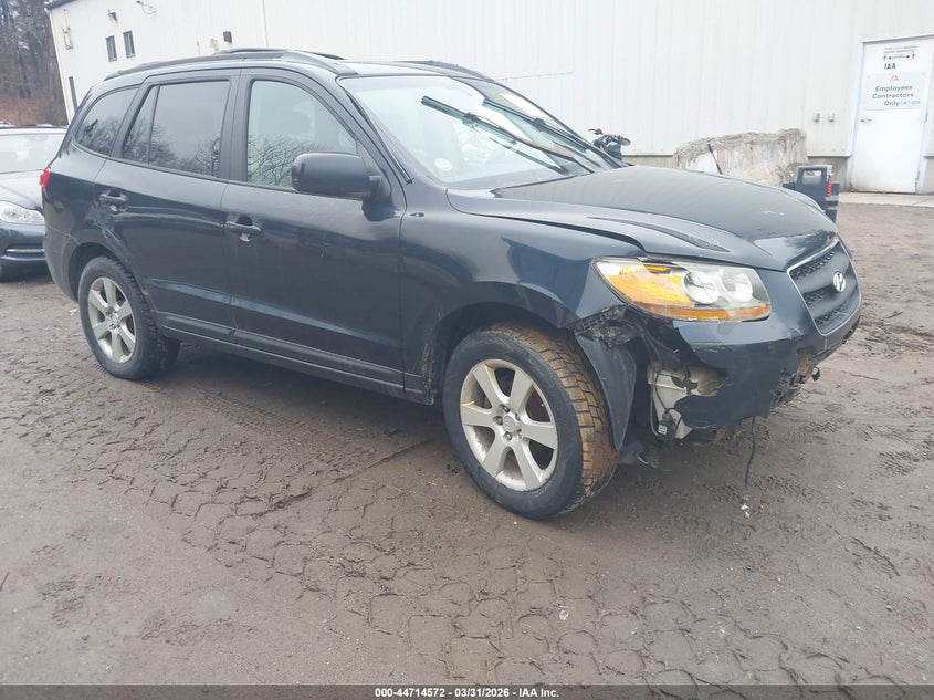 2007 Hyundai Santa Fe Limited/Se