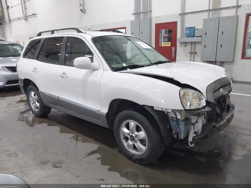 2006 Hyundai Santa Fe Gls