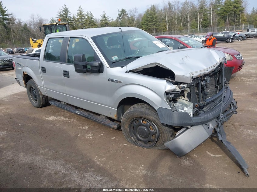 2010 Ford F-150 Xl/Xlt