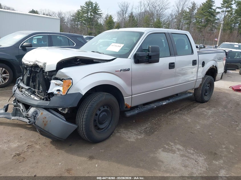 2010 Ford F-150 Xl/Xlt