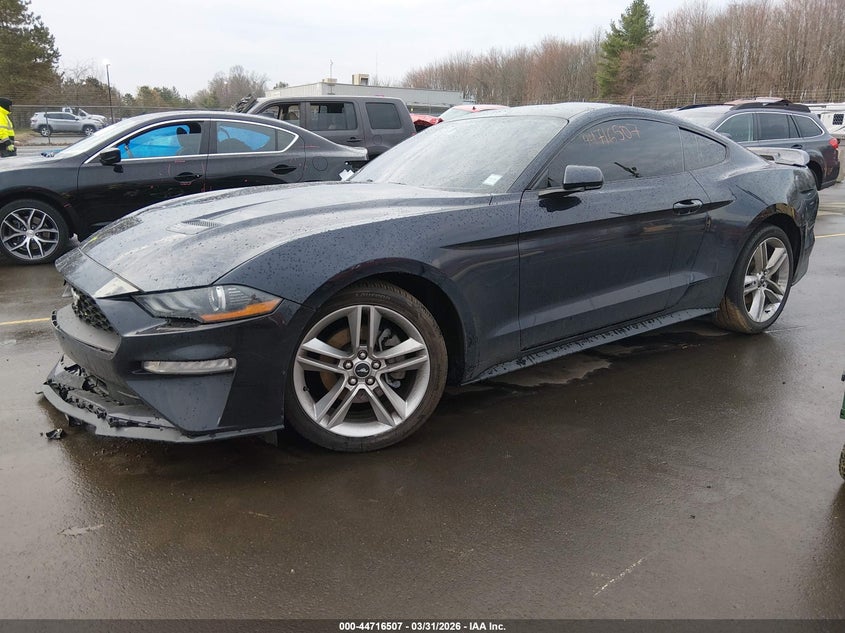 2021 Ford Mustang Ecoboost Premium Fastback 1FA6P8TH1M5151921 photo 1