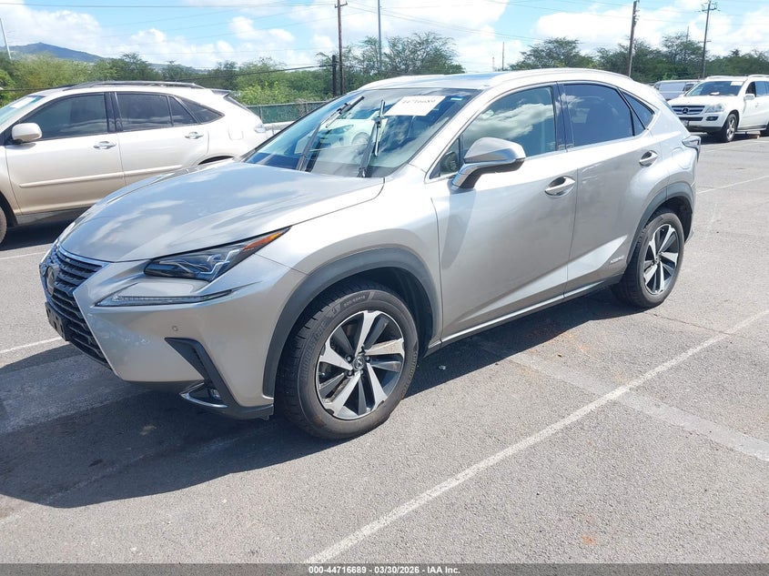 2019 LEXUS NX 300H auction photo 2