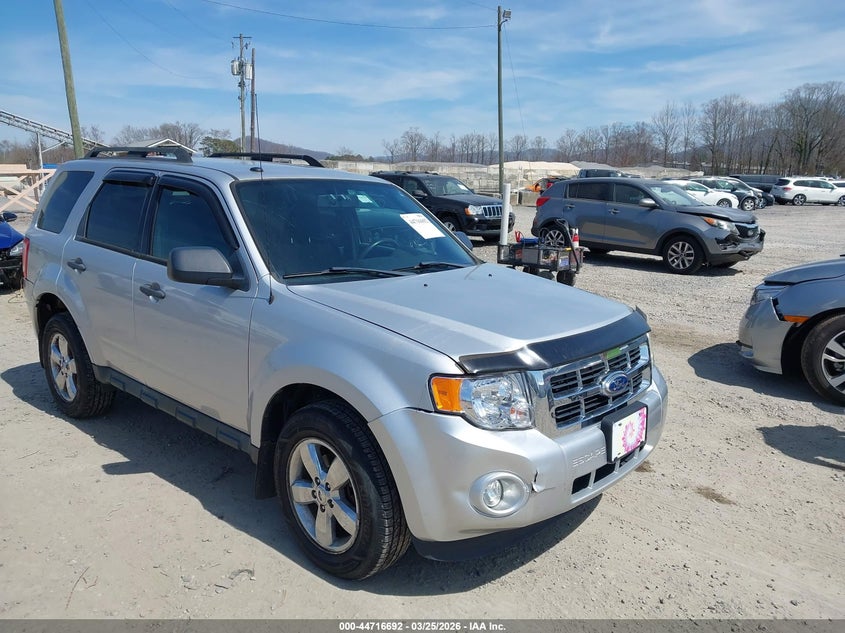 2011 Ford Escape Xlt