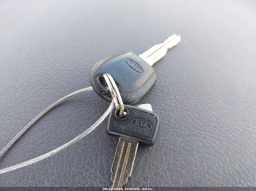 2003 Kia Sedona Ex/Lx VIN: KNDUP131036489282 Lot: 44720584