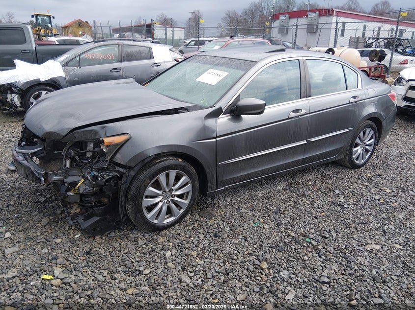 2011 Honda Accord 2.4 Ex-L